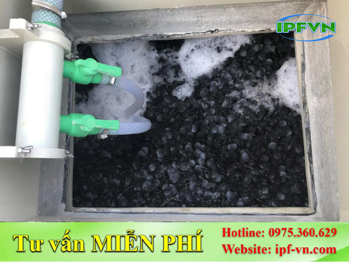 Giá thể lọc vi sinh loại nào tốt