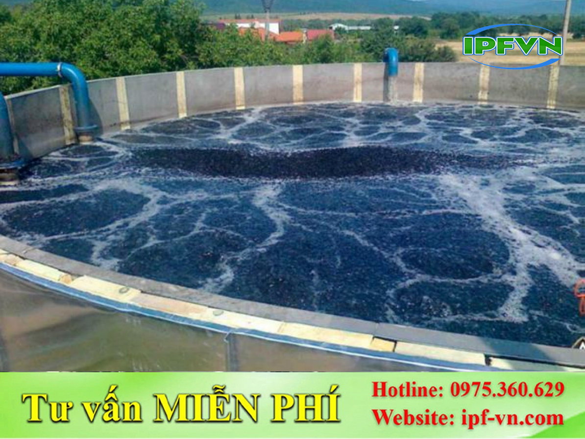 Cách Lắp Đặt